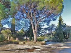 183 D28 Rayol Canadel 3_000013